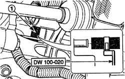    (1)     DW100020