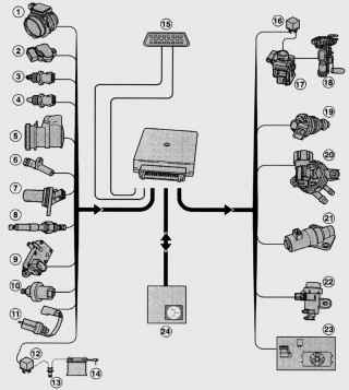 Основные элементы системы впрыска топлива EEC-V
