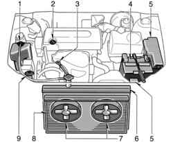 Общий вид подкапотного пространства автомобилей Camry с двигателями моделей 1AZ-FE и 2AZ-FE