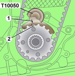         T10050