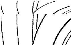   (1)  (2)   (3)       