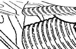   (1)    