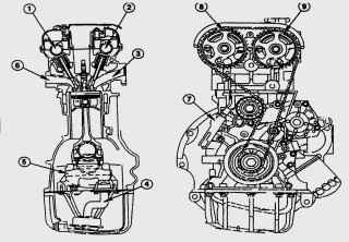    Zetec-SE