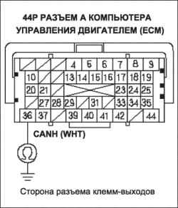     DLC (  ) (L13A)