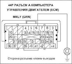     DLC (  ) (L13A)