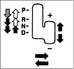     INVECS-II Sport Mode (             )