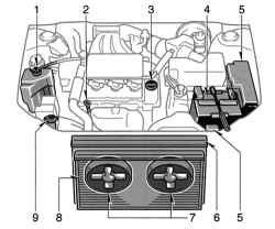      Camry    1MZ-FE